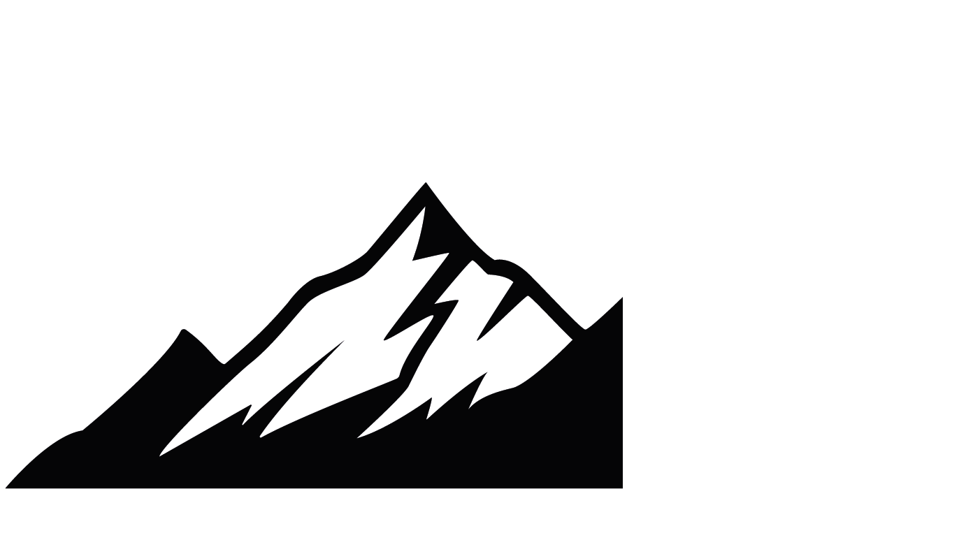 Ridge Security